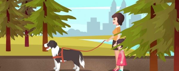 导盲犬全国有多少只  需要多少钱