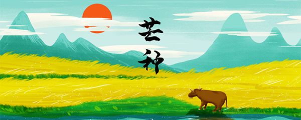 芒种是几月几日 2020年芒种是什么时候