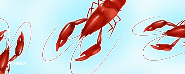 虾煮几分钟就熟了 虾煮多长时间就熟了