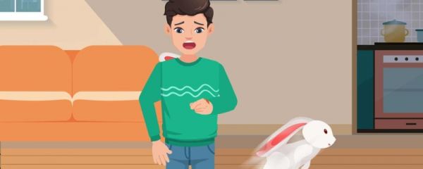 属兔男孩叫什么名字吉利好听 属兔男孩好听顺耳的名字有哪些