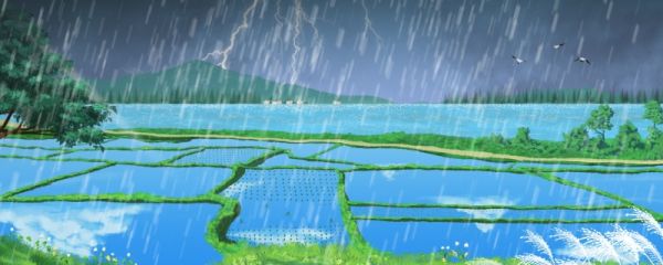 雨水三候是指哪三候 雨水节气的时间是什么时候