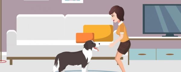 导盲犬可以进入公共场所吗 哪些地方不能去