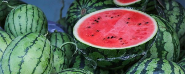 庆阳特产 庆阳特产有哪些