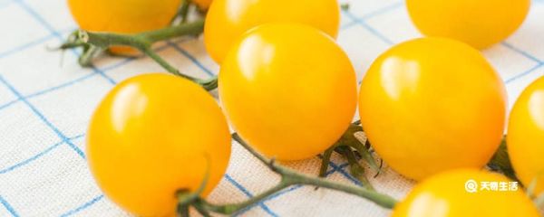 黄色的小番茄叫什么 黄色的小番茄是什么水果