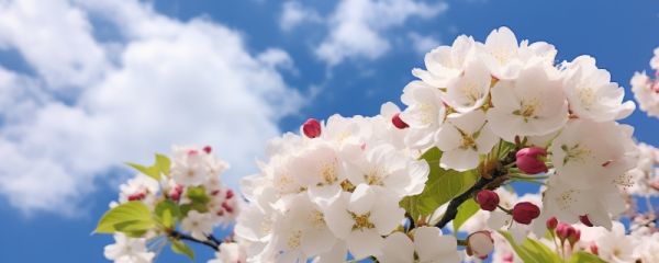 立春后怎么养生最好 立春后吃什么养生