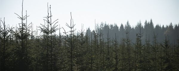 大金国是现在中国哪个省 大金国是现在中国什么省