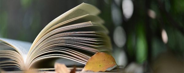 扉页是什么意思  扉页是指什么意思