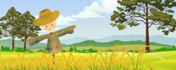 三伏天几伏是最热的 为什么三伏天会热