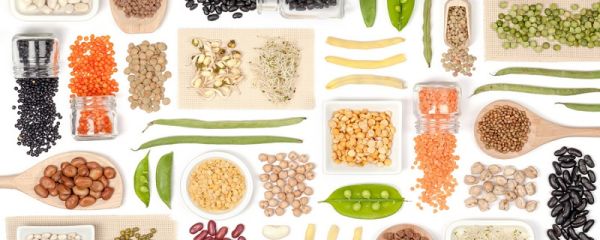 淀粉类食物 淀粉类食物有哪些