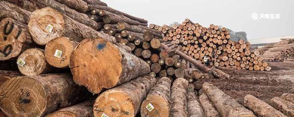 金丝檀木是什么 金丝檀木的优缺点