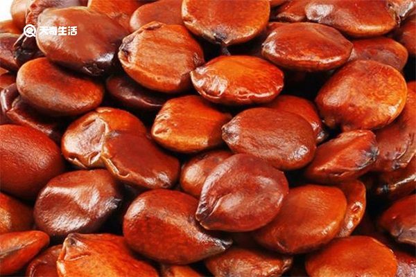 酸枣仁和绿豆的功效与作用 酸枣仁和绿豆的功效