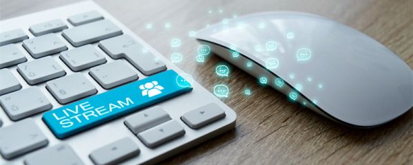 什么是路边社 路边社是啥