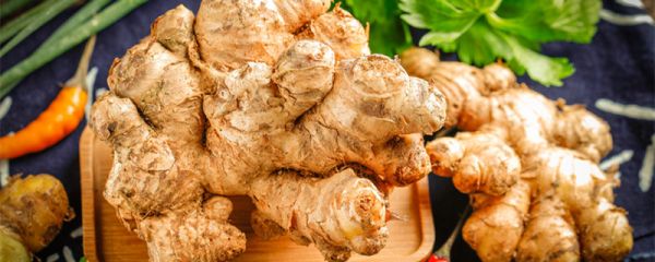 生姜如何保存才能放得久 生姜如何保存时间久