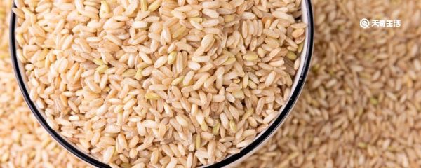 大米能放冰箱冷藏室保存吗 大米放冰箱冷藏室保存吗