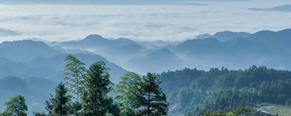 世界气象日的由来 世界气象日是怎么来的