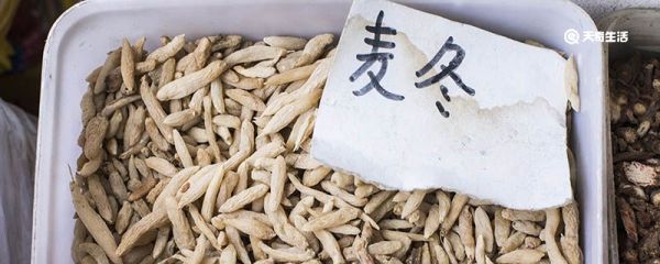 麦冬是什么 麦冬的生长习性