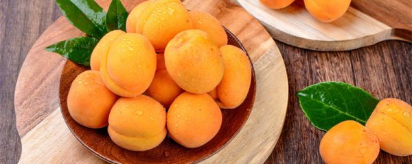 李广杏是哪里的特产 李广杏的传说