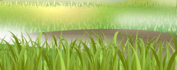 2023年春分是立春吗 春分的时间是什么时候