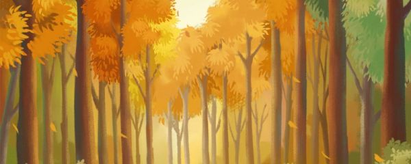 白露是深秋还是初秋 白露节气气温多少