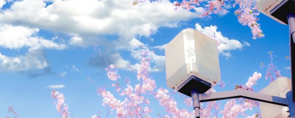 快手二次元频道是什么意思 快手二次元是什么意思