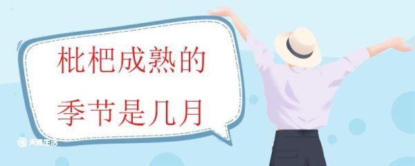 枇杷成熟的季节是几月 枇杷应该怎么挑选