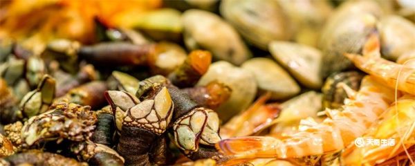 什么东西是藤壶的天敌 藤壶的天敌是什么动物