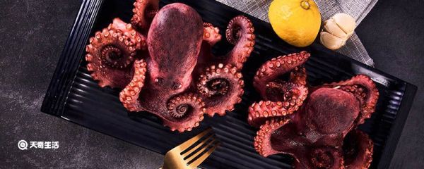 章鱼的血为什么是蓝色的 章鱼的血是蓝色的原因