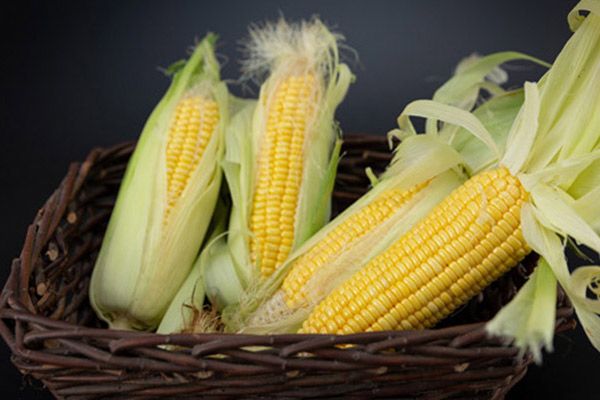 煮玉米须水的功效与作用 煮玉米须水有什么功效