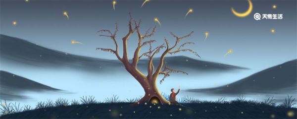 树洞是什么意思 树洞是什么意思网络用语