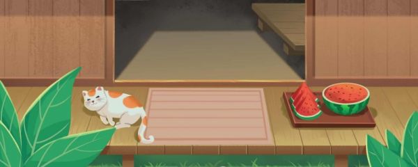 为什么猫猫总喜欢趴在地上 猫猫趴着睡觉是不是不舒服