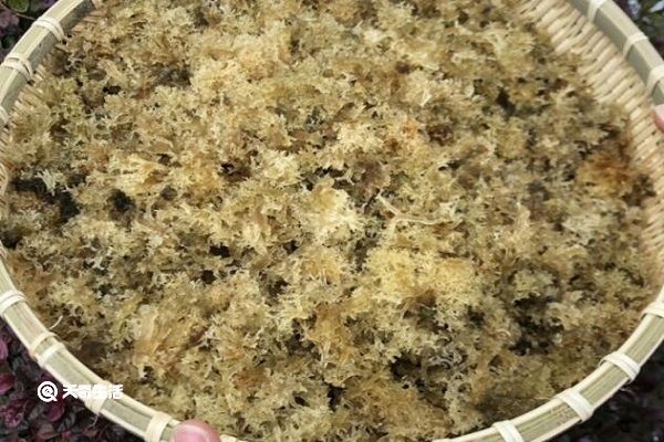 竹虫花的功效与作用 竹虫花的功效作用