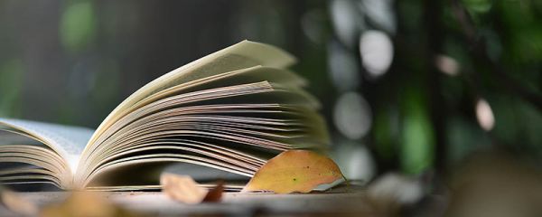 三观是哪三观分别是什么 三观是哪三观