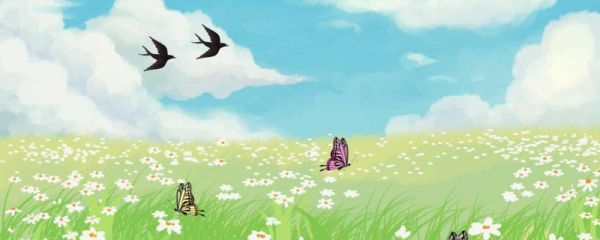 每年芒种都是6月6号吗 芒种节气的气候特点是什么