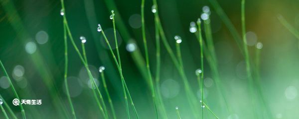 白露节气特点有哪些 白露节气特点都有哪些