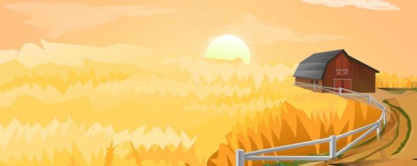 白露是几号2023 白露的气候变化