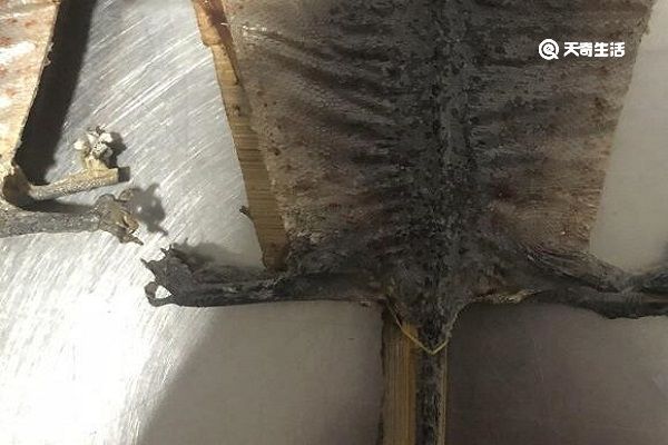 蛤蚧的功效与作用 蛤蚧的功能