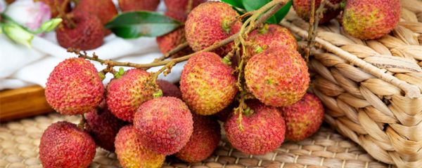 广西水果特产和月份 广西水果特产有哪些哪个月出来