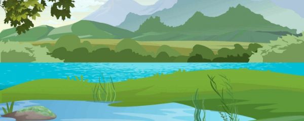 小暑吃三宝是什么意思 小暑代表的含义