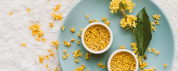 桂花的功效与作用 桂花有什么功效