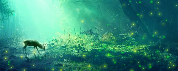 牛头人是啥梗  牛头人是指啥梗