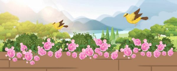 2023春分的时间 春分节名的含义