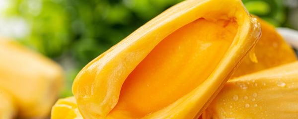 菠萝蜜过夜还能吃吗 菠萝蜜过了夜还能吃吗