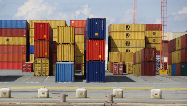 cnee外贸中指什么意思 cnee外贸中指什么