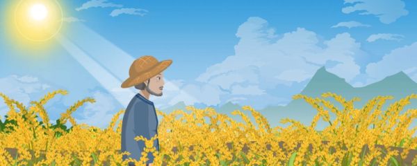 大暑是入伏第一天吗 大暑节气有什么习俗