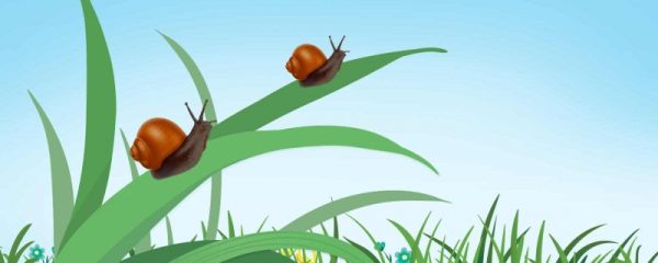 2023春分禁忌 春分出太阳好不好