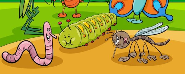 爬行动物的主要特征 爬行动物的主要特征有什么