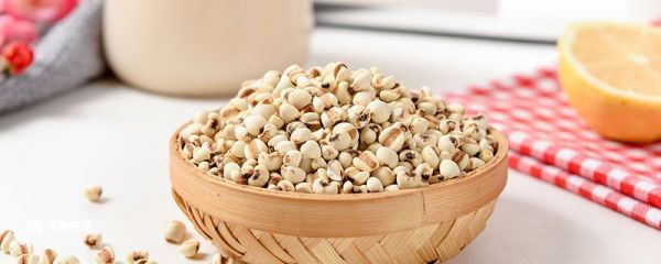 薏米是什么 薏米是什么东西