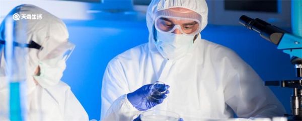 二甲苯是什么东西 二甲苯是什么