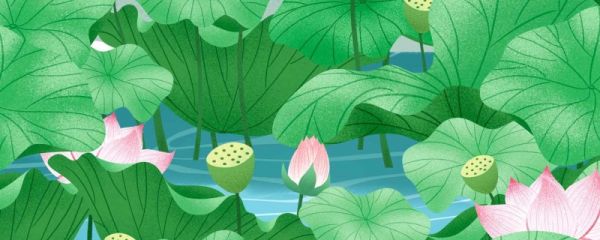 中伏多少天 中伏吃羊肉好吗