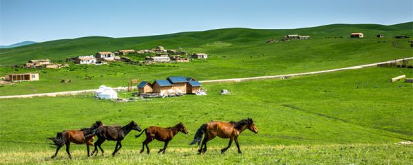 洛浦县属于哪个地区 新疆洛浦县属于哪个地区